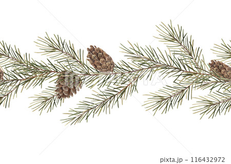 Fir branch with cones. Christmas watercolor seamless border in realistic botanical style hand drawn. The illustration is suitable for Christmas and New Year holidays, invitations, cards, packaging 116432972