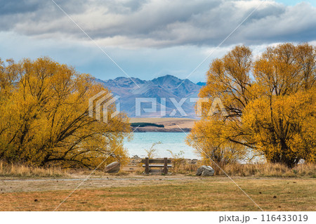 Wooden bench in the middle of yellow tree by the lake on autumn forest Wooden bench in the middle of yellow tree by the lake on autumn forest 116433019