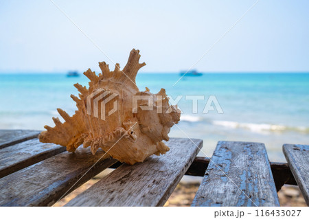 Conch shell decor on wooden table with tropical sea background 116433027