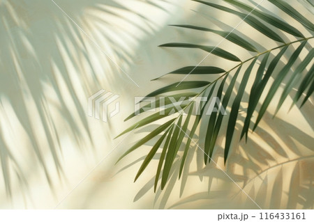 Palm leaf shadow on wall. Natural background with copy space. Generative AI 116433161