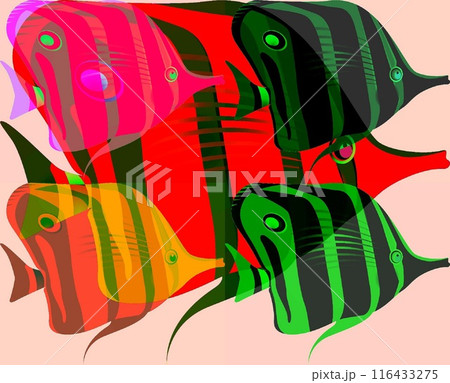 tropical fish tropical fish 116433275