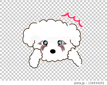 Dog with eye problems Dog with eye problems 116434201