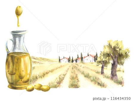 Olive oil in glass jug. Olive tree harvest in front of the rural farm watercolor landscape with fields, houses, villas, cypress. Tuscan nature. Hand draw illustration isolated. Food label background.  116434350