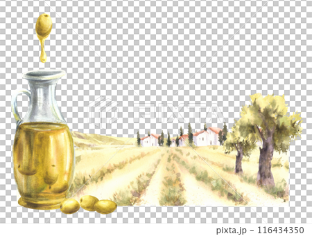 Olive oil in glass jug. Olive tree harvest in front of the rural farm watercolor landscape with fields, houses, villas, cypress. Tuscan nature. Hand draw illustration isolated. Food label background.  116434350