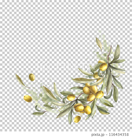 Olive tree branch with leaves and fruit berries on watercolor green brush stroke background. Floral semicircular botanical clipart. Template for greeting card, product label on isolated background. 116434358