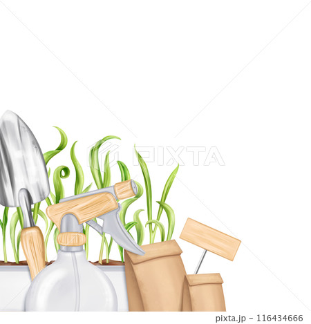 A border of tools: a rake, a shovel, a sprayer, seeds, boxes of greens. Equipment for gardens, greenhouses and florists. Agriculture, cultivation of plants and flowers. Digital isolated illustration 116434666