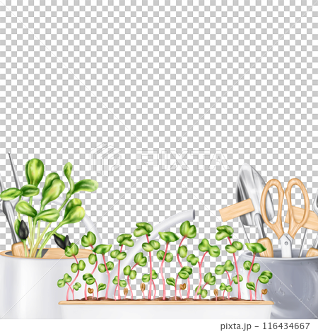 A composition of tools a rake, a shovel, a sprayer, seeds, boxes of greens. Garden equipment. Agriculture, cultivation of plants and flowers. Frames for decoration, boards for design 116434667