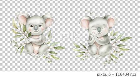 Set of cute kawaii koalas sitting with green branch eucalyptus and sleeping. Watercolor hand drawn illustration australian animal isolated on background. Cartoon kids print minimalist style. Set of cute kawaii koalas sitting with green branch eucalyptus and sleeping. Watercolor hand drawn illustration australian animal isolated on background. Cartoon kids print minimalist style. 116434712