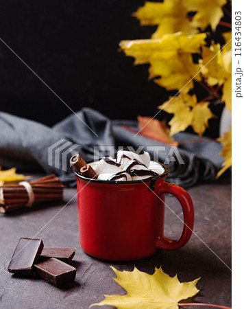 Red cup of aroma hot chocolate with marshmallows on a brown  background with autumn maple leaves 116434803