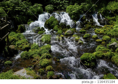 京極町の湧水 116435184