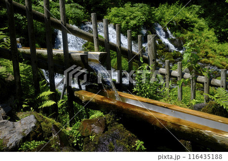 京極町の湧水 京極町の湧水 116435188