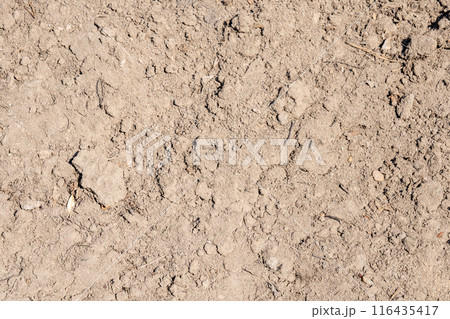 natural texture background cracked ground 116435417