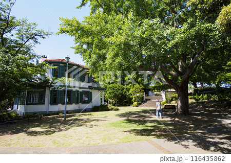 バラのある住宅（やまてイタリア山庭園）の初夏 116435862