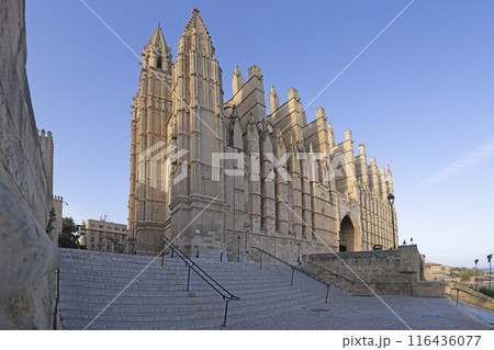 Panoramic image of Palma de Mallorca Cathedral in the evening light Panoramic image of Palma de Mallorca Cathedral in the evening light 116436077