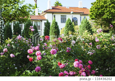 フランス山庭園 116436202