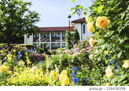 フランス山庭園 116436206
