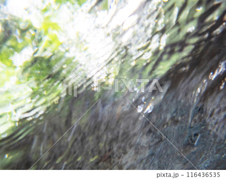 森の清流キラキライメージ 大山木谷沢渓流 森の清流キラキライメージ 大山木谷沢渓流 116436535