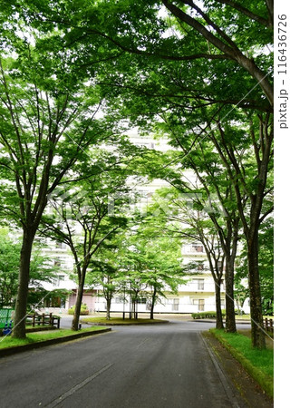 栃木県那須町　那須高原の宿泊施設ホテルエピナール那須の周遊散策路 116436726