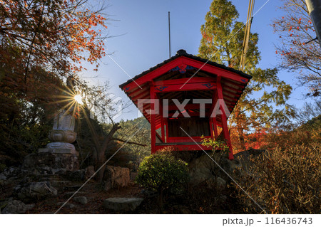 寺院の庭園の紅葉と朝の陽ざし 寺院の庭園の紅葉と朝の陽ざし 116436743