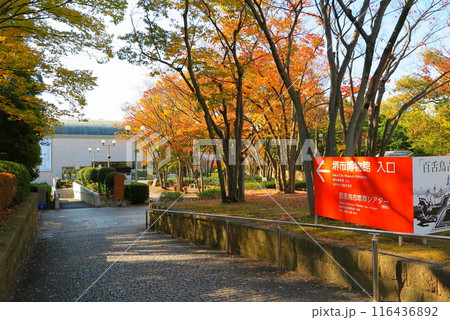 大阪府堺市の大仙公園：園内の「堺市博物館」正面入り口 116436892