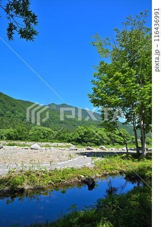 みつまた親水公園　バイカモ群生地　清津川　河原の風景　 116436991