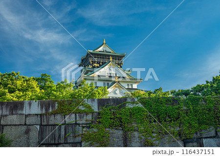 大阪城天守閣 116437151