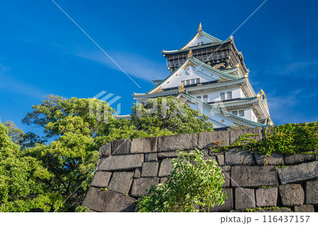 大阪城天守閣 大阪城天守閣 116437157
