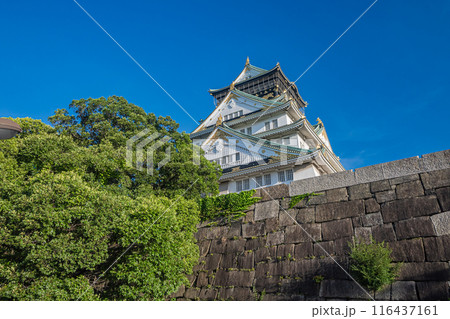 大阪城天守閣 大阪城天守閣 116437161