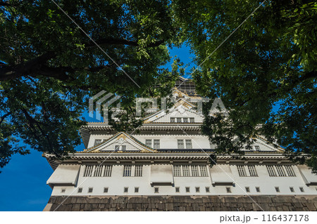 大阪城天守閣 116437178