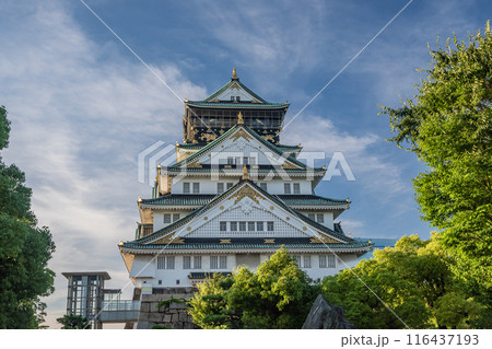 大阪城天守閣 116437193