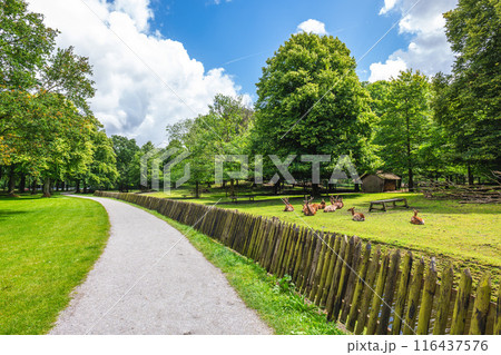 the deer park located in the hague, dutch 116437576