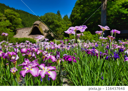 千古の家 116437648