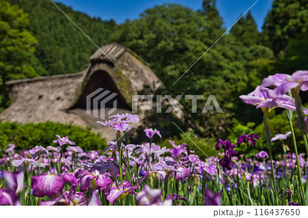 千古の家 千古の家 116437650