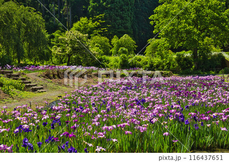 千古の家 116437651