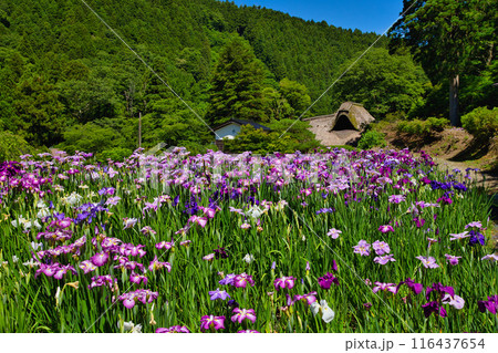 千古の家 116437654