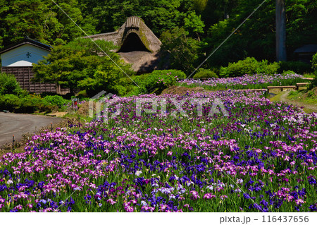 千古の家 千古の家 116437656