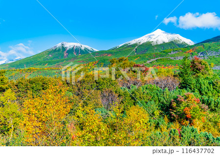 北海道　冠雪の十勝岳と紅葉　～望岳台から～ 116437702