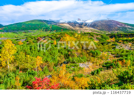 北海道 冠雪の十勝岳と紅葉 ~望岳台から~ 北海道 冠雪の十勝岳と紅葉 ~望岳台から~ 116437719