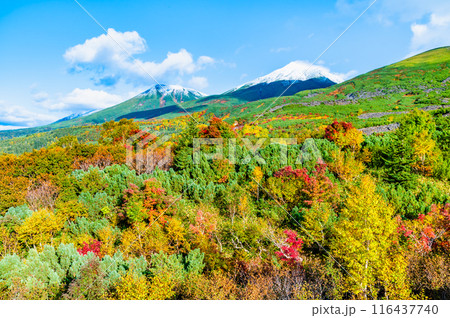 北海道 冠雪の美瑛岳と美瑛富士 ~紅葉の望岳台から~ 北海道 冠雪の美瑛岳と美瑛富士 ~紅葉の望岳台から~ 116437740