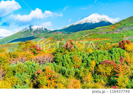 北海道　冠雪の美瑛岳と美瑛富士　～紅葉の望岳台から～ 116437749