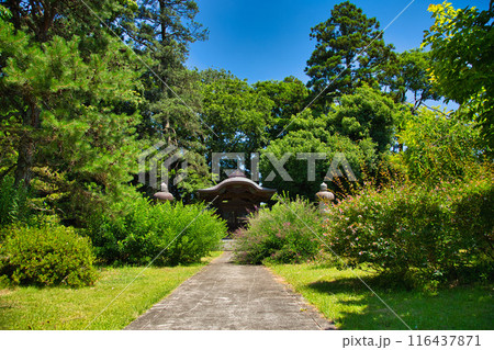 称念寺の春 116437871