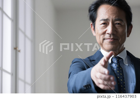 握手を求めるスーツを着たハンサムなビジネスマン　経営者や社長のイメージ　転職やスカウトなどの正面 116437903