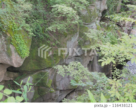 磊々峡の奇面岩（8月撮影） 116438121