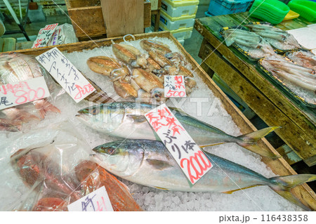 海鮮市場 天然ぶり アイナメ 甲いか 鯛 海鮮市場 天然ぶり アイナメ 甲いか 鯛 116438358