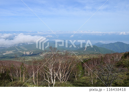 四阿山登山、長野県、群馬県 116438418
