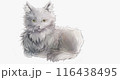 絵画風グレーの猫 116438495