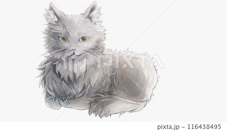 絵画風グレーの猫 絵画風グレーの猫 116438495