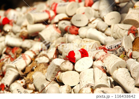 千葉県 鋸山日本寺の小さなお地蔵様（お願い地蔵尊） 116438642