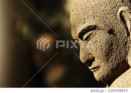 千葉県 鋸山日本寺にある千五百羅漢の観音様の横顔 116438643