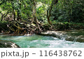 waterfall in deep forest in indonesia 116438762
